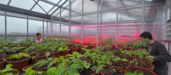 Airgilab, the first living lab that regenerates building air with horticultural crops