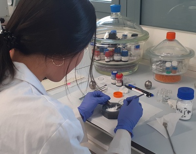 Researcher working in a laboratory