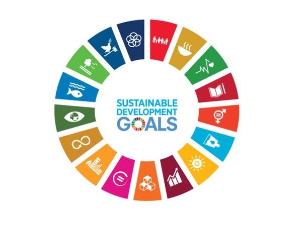 Imagen con los 17 Objetivos de Desarrollo Sostenible de las Naciones Unidas