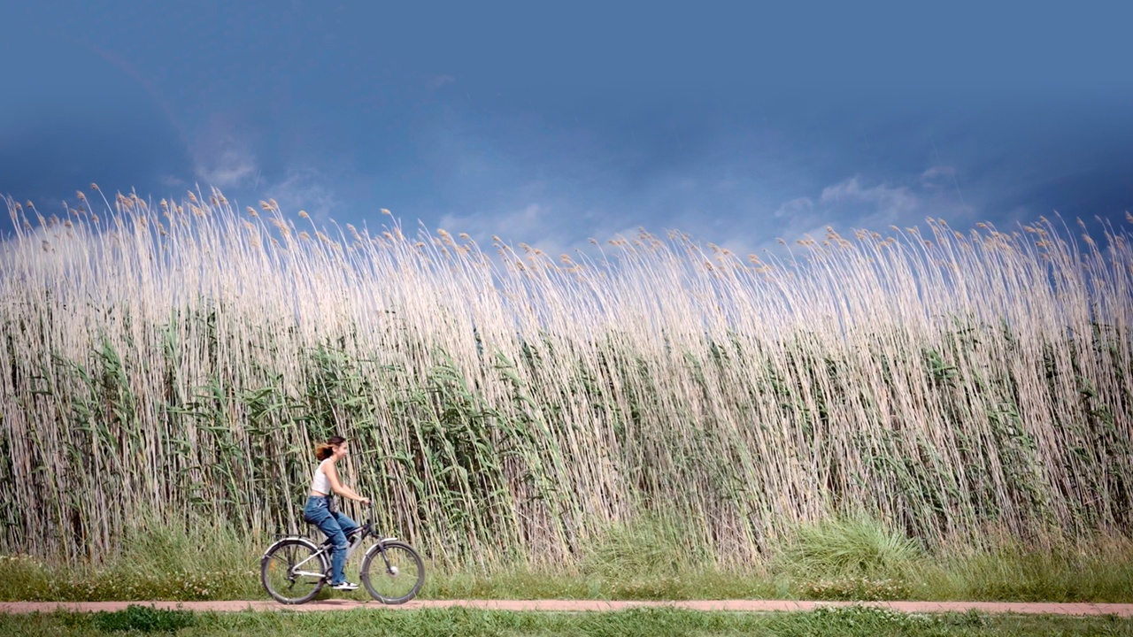 Una imagen del vídeo, en la que se ve a una estudiante en bicicleta delante de un campo