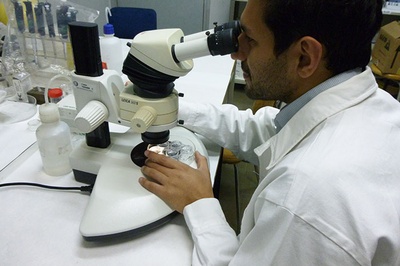 Investigadora trabajando en un laboratorio