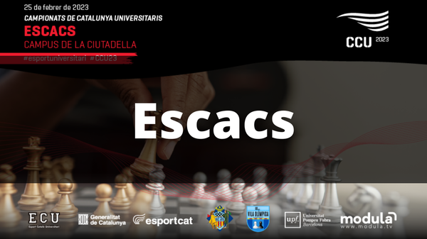 Escacs