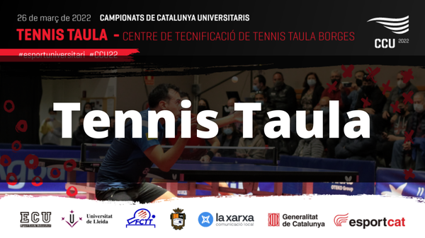 Tennis taula