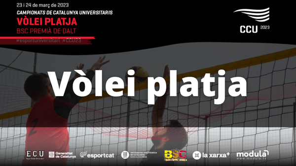 Volei platja