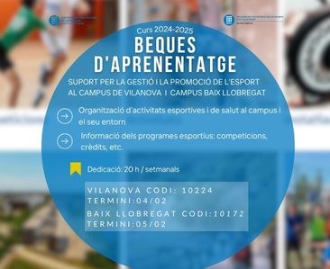 Beques d'aprenentatge obertes