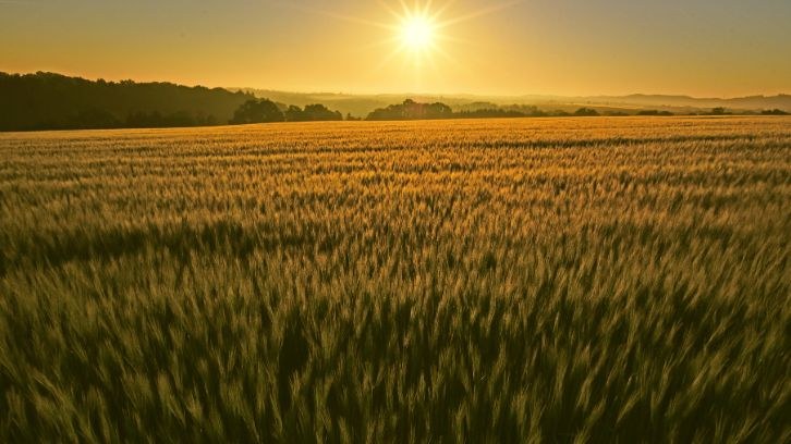 Jornada sobre la valorització de residus agrícoles per aplicacions tèxtils