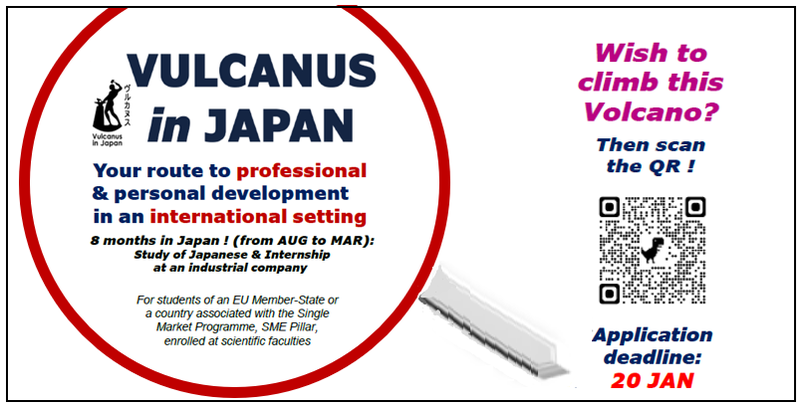 The Vulcanus Program - a chance to participate in an internship in Japan